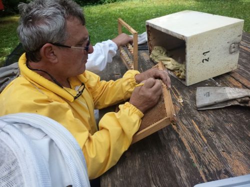 2025 - Allevamento Regine